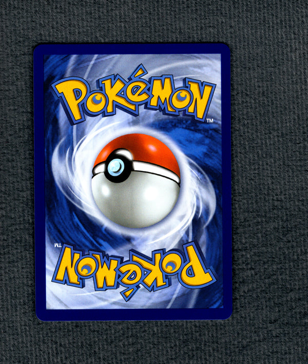 048 Totodile ME Black Star Promos Promo NM