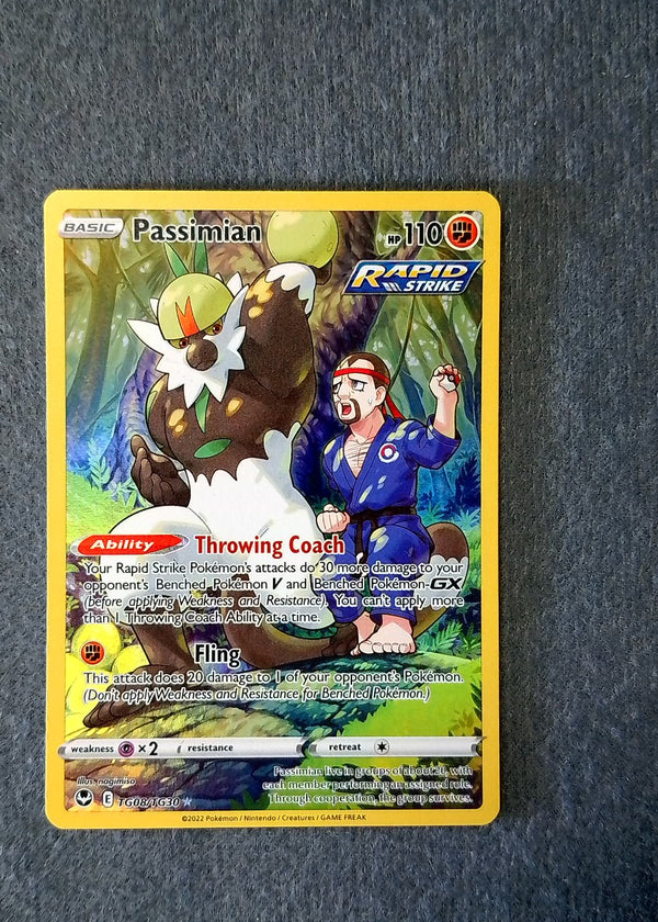 TG08 Passimian Silver Tempest Rare Holo NM