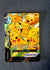 SWSH141 Pikachu V-UNION SWSH Black Star Promos Promo NM