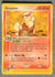 015 Arcanine Sandstorm Rare DMG