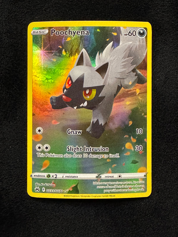GG33 Poochyena Crown Zenith Rare Holo Near Mint