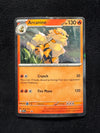 011 Arcanine SV Black Star Promos Promo Near Mint