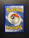 053 Zeraora V Chilling Reign Holo Rare V NM