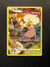 TG07 Rockruff Silver Tempest Rare Holo Near Mint
