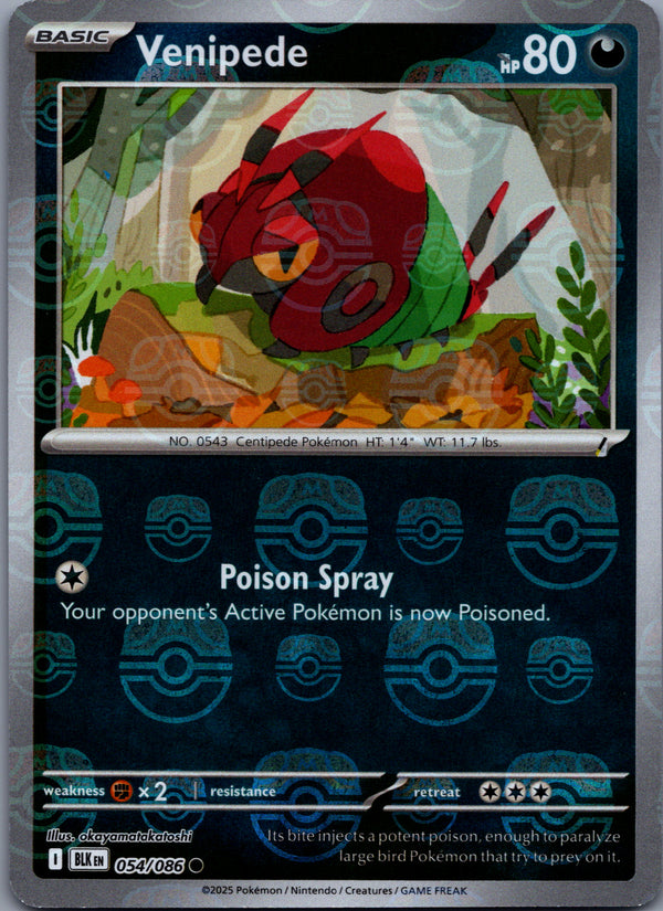 054 Venipede [Master Ball] Black Bolt Common Near Mint