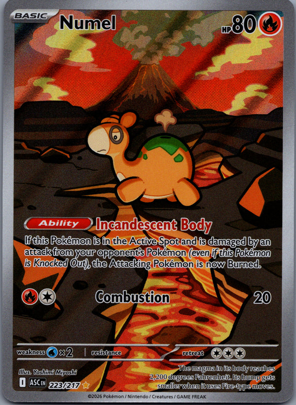 223 Numel Ascended Heroes Illustration Rare Near Mint
