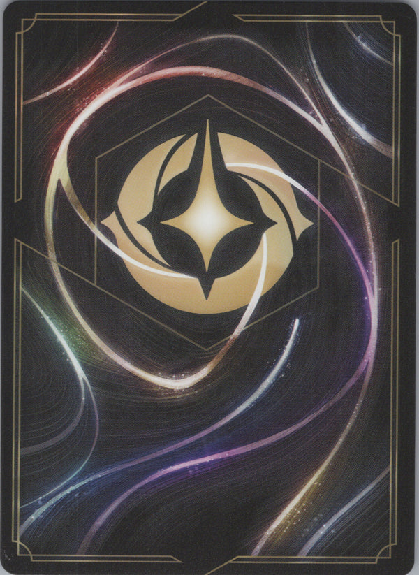 188 Darkwing Duck - Darkwarrior [Foil] Winterspell Rare NM