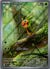 087 Chespin Chaos Rising Illustration Rare NM