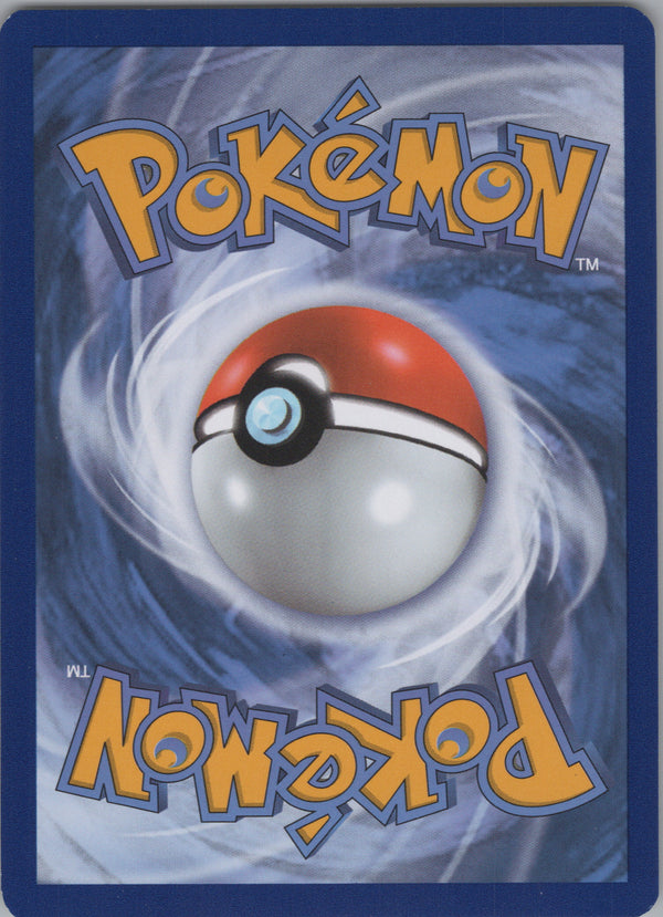 SWSH233 Squirtle SWSH Black Star Promos Promo NM