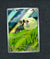 170 Hop's Wooloo Journey Together Illustration Rare NM