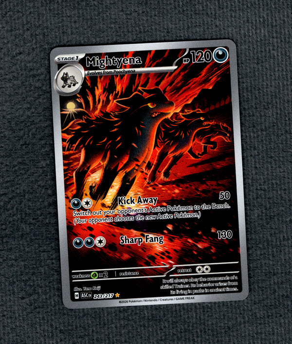 243 Mightyena Ascended Heroes Illustration Rare NM