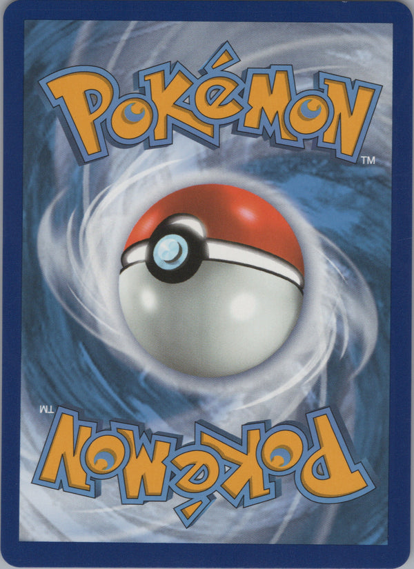 048 Raikou V Brilliant Stars Holo Rare V NM