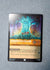 013 Grandmother Willow - Ancient Advisor [Foil] Winterspell Uncommon MP