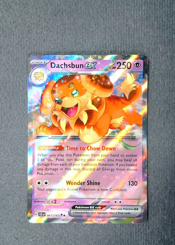 067 Dachsbun ex Stellar Crown Double Rare NM