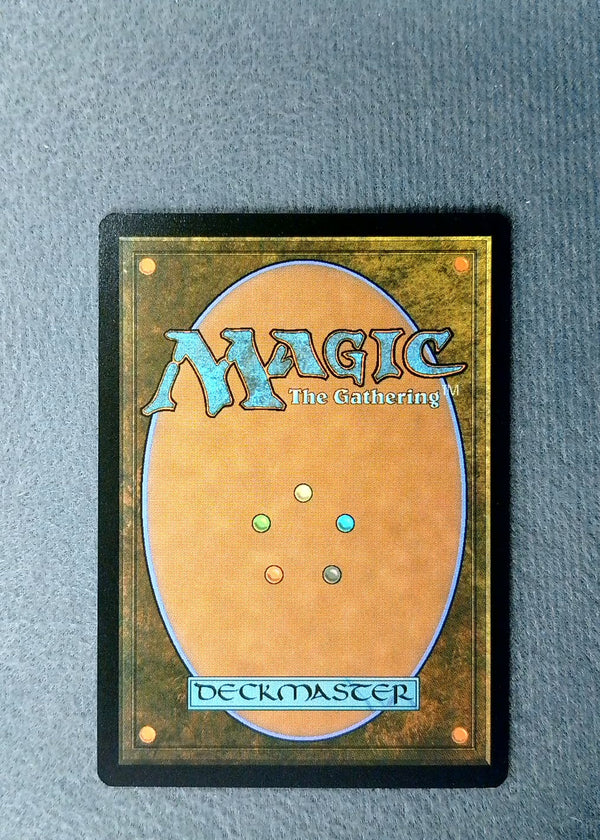 309 Radagast of Rhosgobel The Hobbit Rare Normal NM