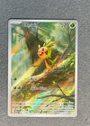 087 Chespin Chaos Rising Illustration Rare NM