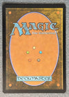 309 Radagast of Rhosgobel The Hobbit Rare Normal NM