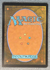 214 Belladonna Took The Hobbit Rare Normal NM