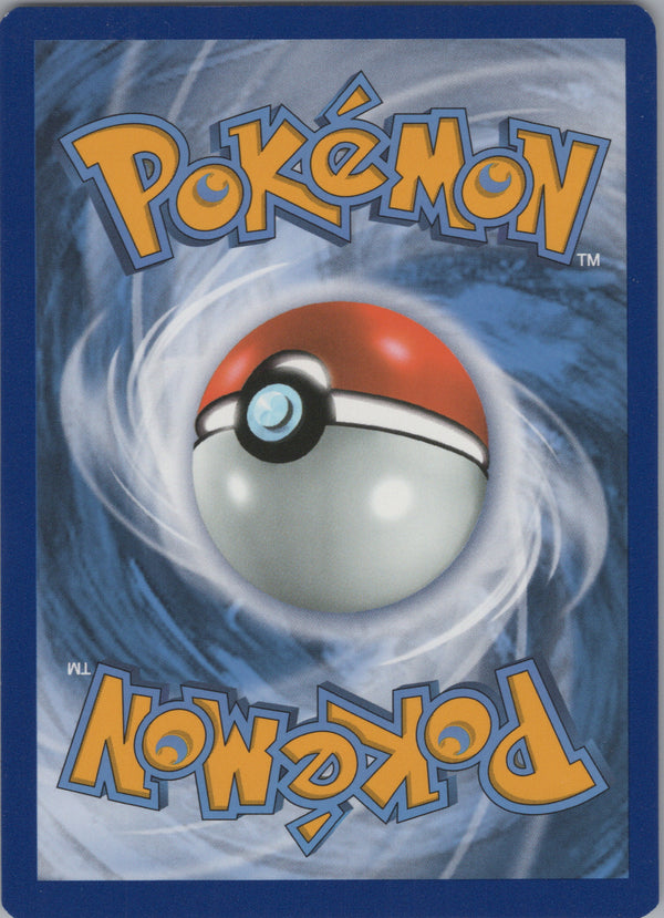 SWSH285 Pikachu V SWSH Black Star Promos Promo Near Mint