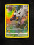 GG33 Poochyena Crown Zenith Rare Holo Near Mint