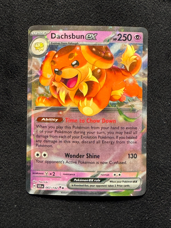 067 Dachsbun ex Stellar Crown Double Rare Near Mint