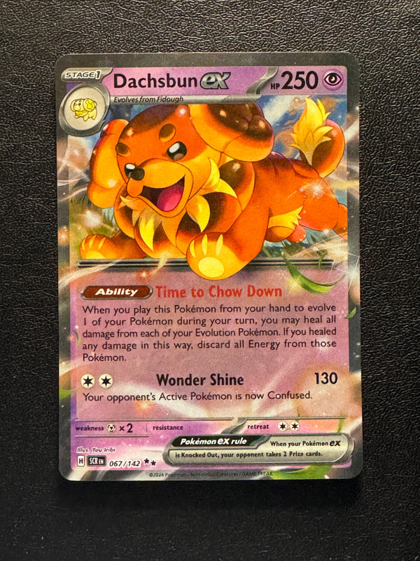 067 Dachsbun ex Stellar Crown Double Rare NM