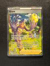 GG62 Grant Crown Zenith Rare Ultra Near Mint