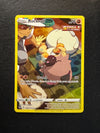 TG07 Rockruff Silver Tempest Rare Holo Near Mint