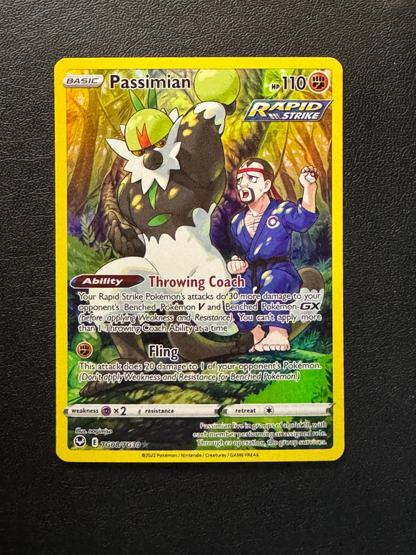 TG08 Passimian Silver Tempest Rare Holo Near Mint