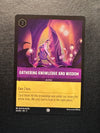 062 Gathering Knowledge and Wisdom [Foil] Shimmering Skies Common Near Mint