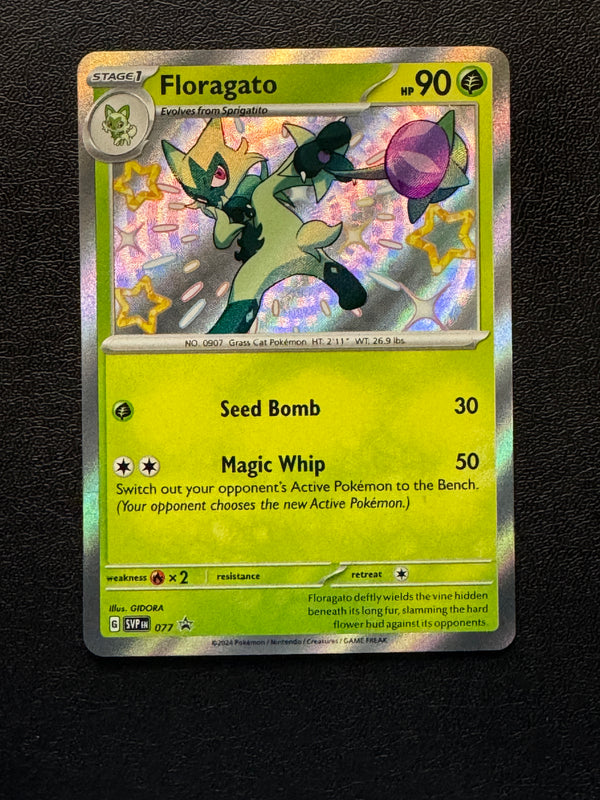 077 Floragato SV Black Star Promos Promo Near Mint