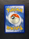 021 Houndoom V Darkness Ablaze Holo Rare V Near Mint