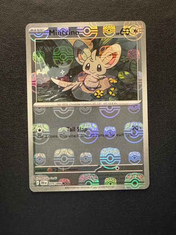 075 Minccino [Master Ball] Black Bolt Common Near Mint