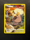 TG07 Rockruff Silver Tempest Rare Holo Near Mint