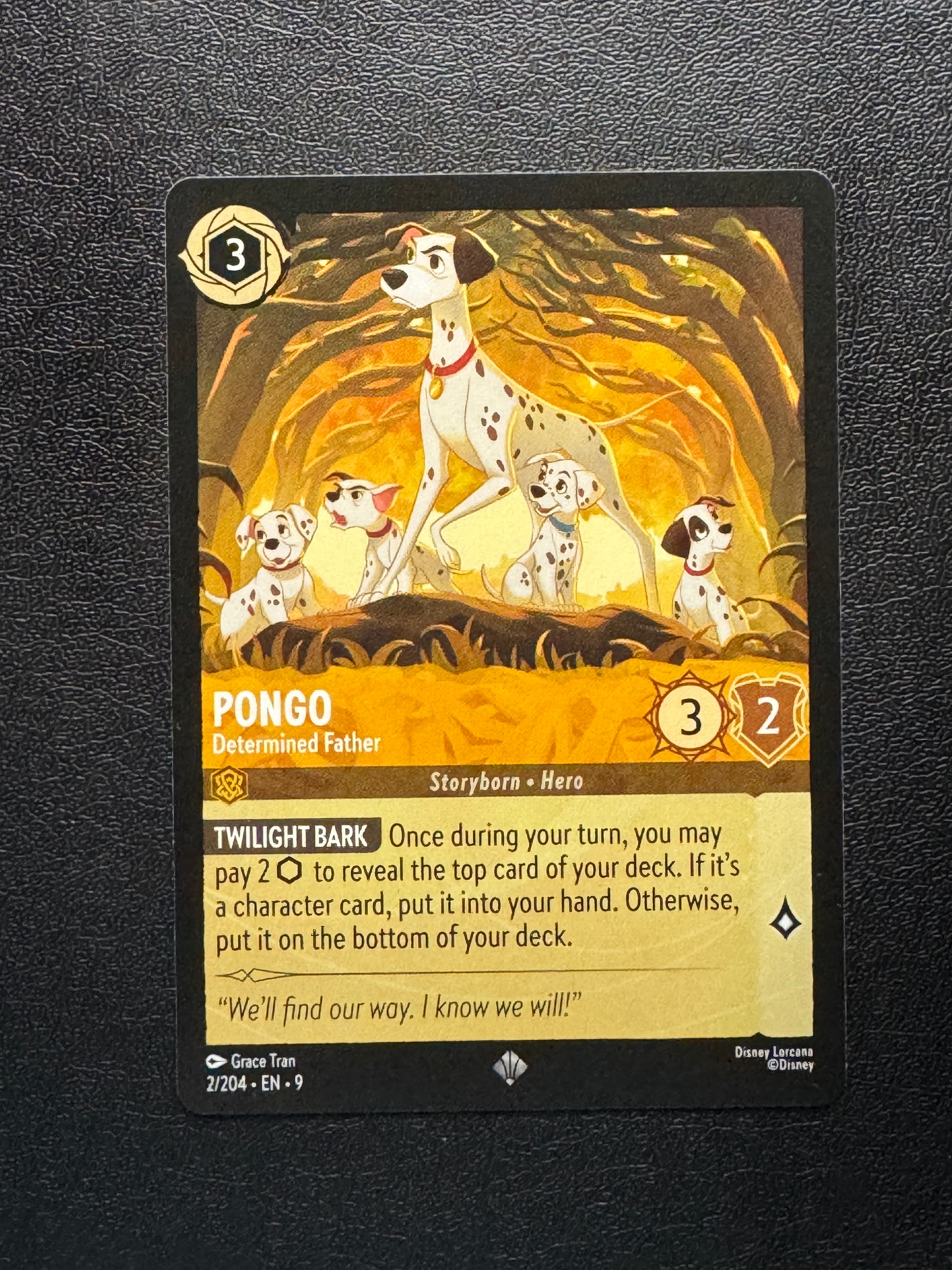 002 Pongo