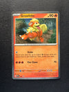 024 Growlithe SV Black Star Promos Promo Near Mint